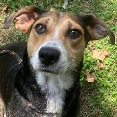Georgia7